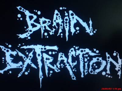 logo Brain Extraction